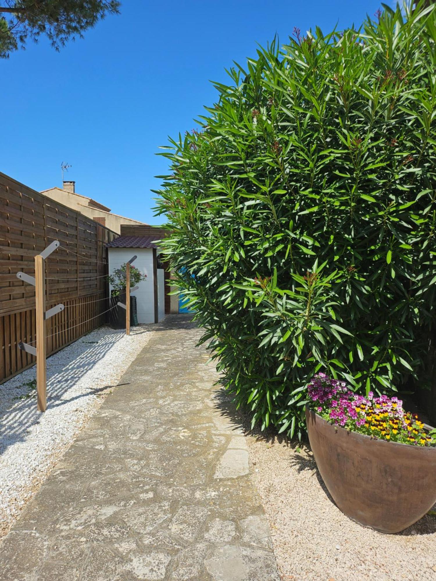 Belle Villa Lespignan Buitenkant foto